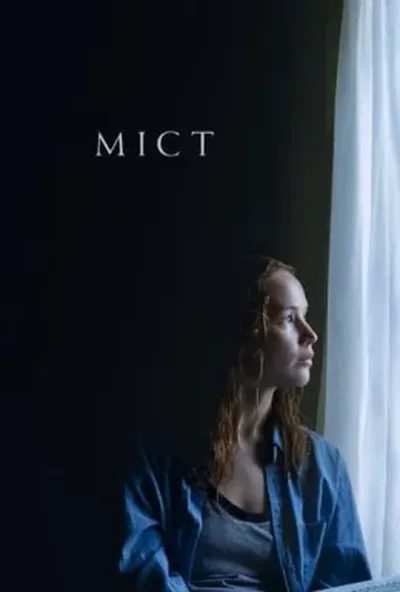 постер Міст