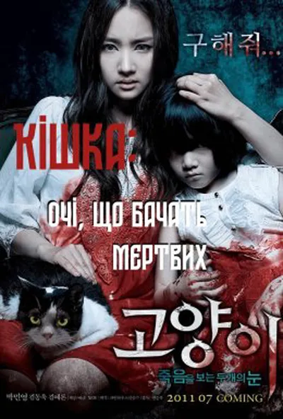 постер Кішка, що бачить мертвих