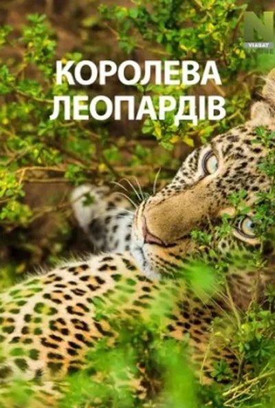 постер Королева леопардів