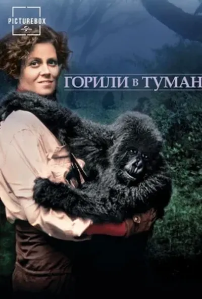 постер Горили в тумані / Горили в тумані: Історія Дайан Фоссі