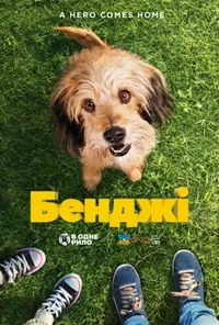 Підозра Софії постер