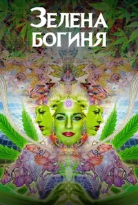 Підозра Софії постер