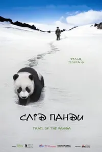 постер Слід панди