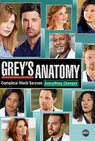 постер Анатомія Грей 9 сезон