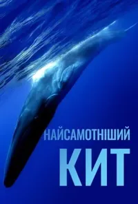 Підозра Софії постер