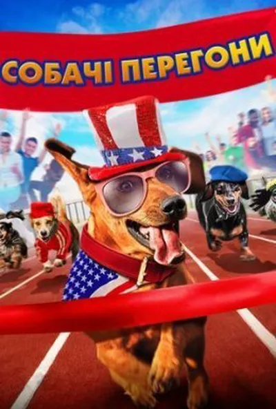 постер Собачі перегони