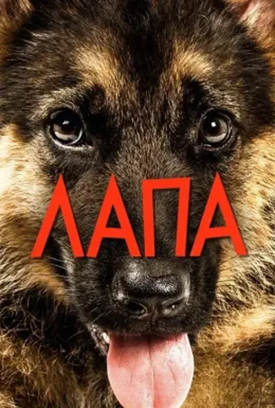 постер Лапа