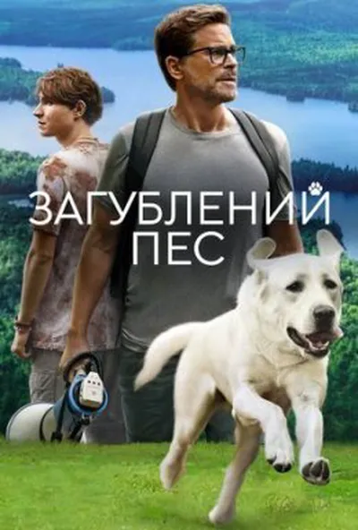 постер Загублений пес