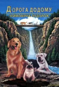 постер Дорога додому: Неймовірна подорож