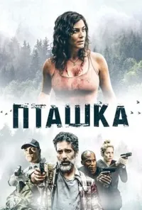 постер Пташка