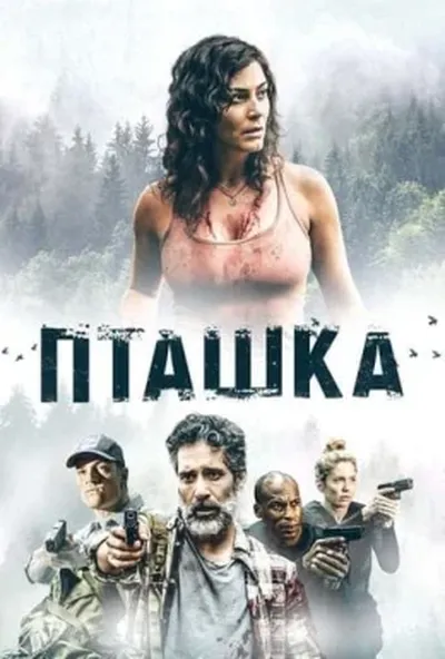 постер Пташка