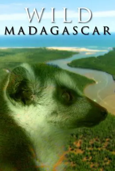 постер Дикий Мадагаскар