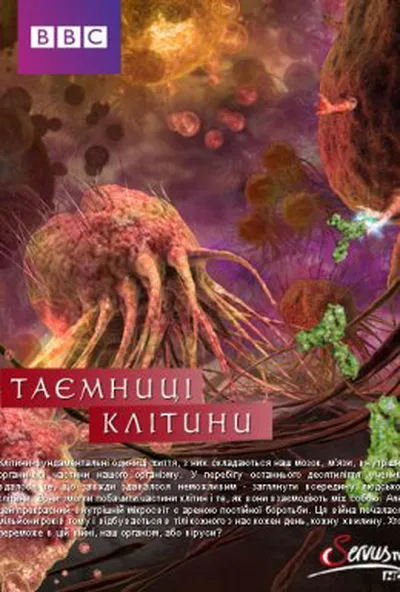постер Таємниці клітини