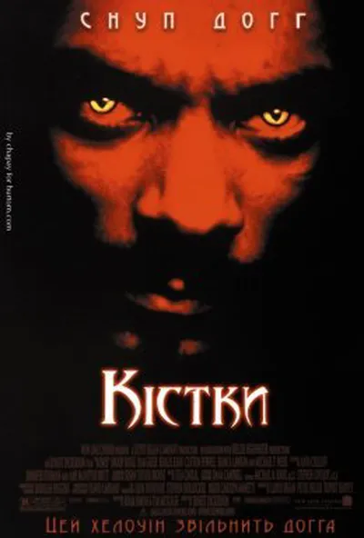постер Кістки