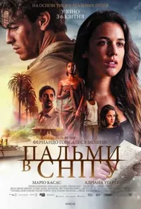 постер Пальми в снігу / Засніжені пальми