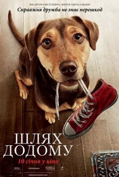 постер Шлях додому