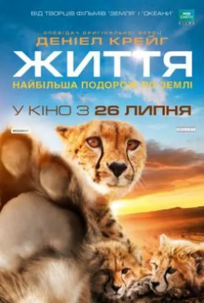 постер Одне життя