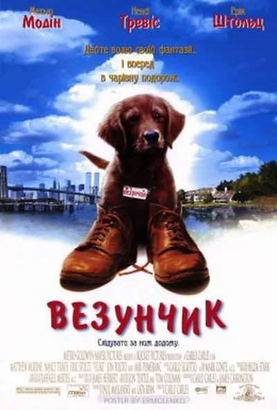 постер Везунчик / Флюк