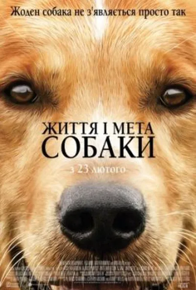 постер Життя і мета собаки