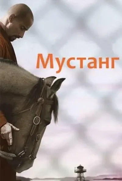 постер Мустанг