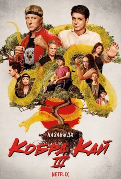 постер Кобра Кай 3 сезон