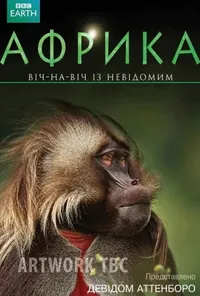Підозра Софії постер