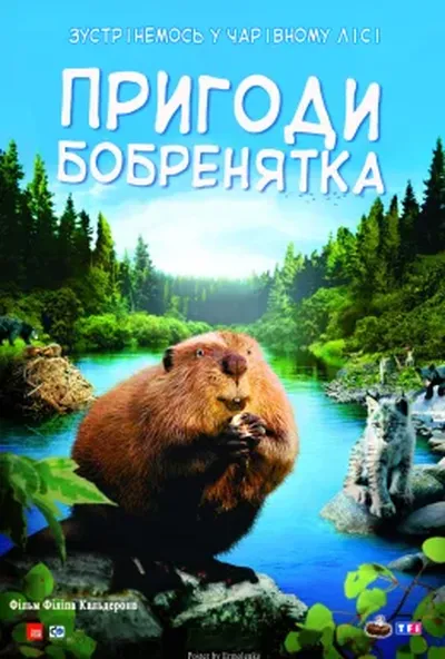 постер Пригоди бобреняти / Пригоди бобренятка