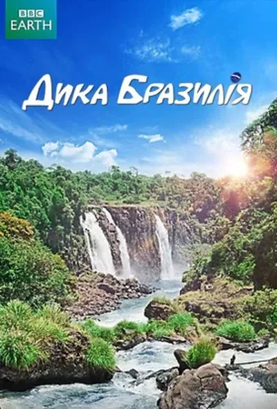 постер Дика Бразилія