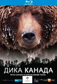 Підозра Софії постер