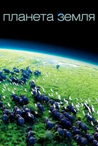 Підозра Софії постер