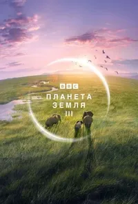Підозра Софії постер
