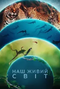 Підозра Софії постер