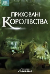 Підозра Софії постер