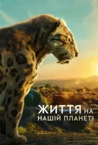 Підозра Софії постер