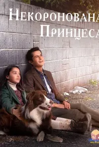Підозра Софії постер