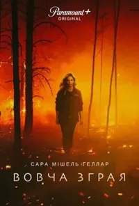 Підозра Софії постер