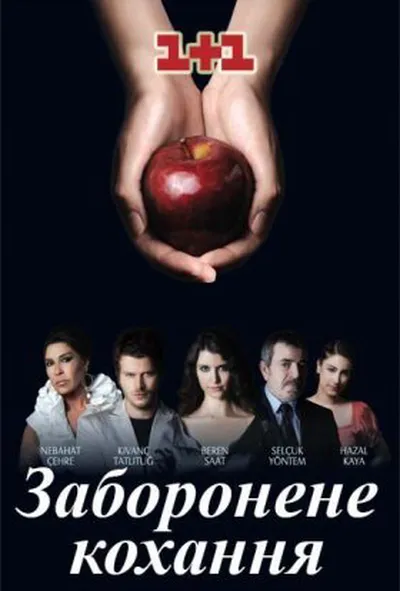 постер Заборонене кохання 2 сезон