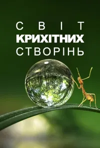 постер Крихітний світ
