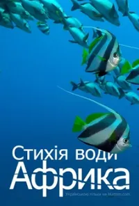 Підозра Софії постер