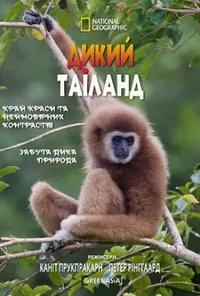 Підозра Софії постер