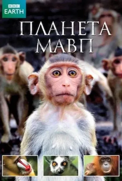 постер Планета мавп 1 сезон