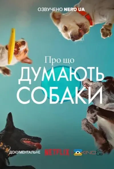 постер Про що думають собаки