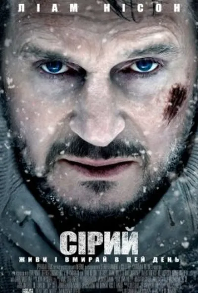 постер Сірий / Сутичка