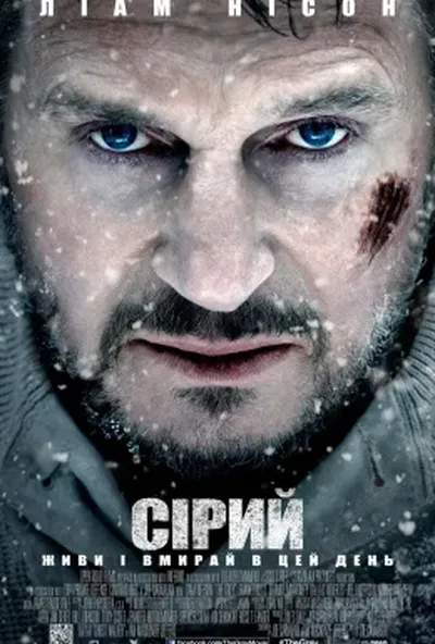 постер Сірий / Сутичка