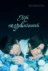 Мій незрівнянний
