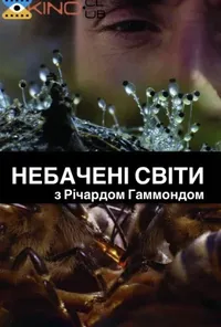 Підозра Софії постер