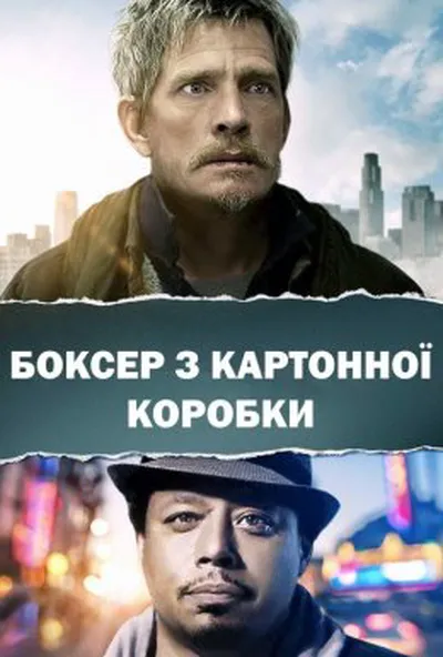постер Боксер з картонної коробки