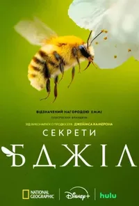 Підозра Софії постер