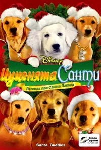постер Цуценята Санти
