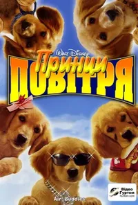 постер Принци повітря